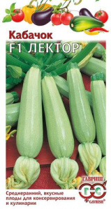 Кабачок Лектор  купить