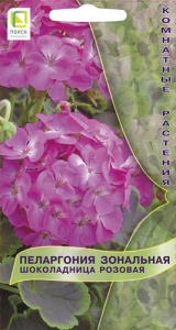 Пеларгония зональная Шоколадница Розовая  купить