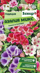 Годеция Алазия  микс  купить