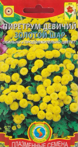Пиретрум девичий Золотой шар  купить
