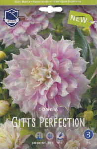 Георгина гигантская Gitts Perfection /1шт  купить