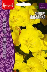 Энотера Ламарка купить