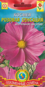 Космея Розовая сенсация купить