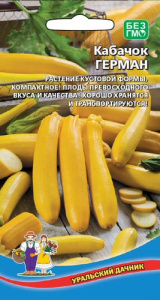 Кабачок Герман  купить