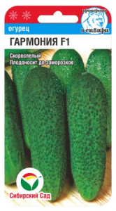 Огурец Гармония F1 купить