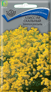 Алиссум Золотая россыпь скальный купить