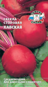 Свекла Хавская  купить