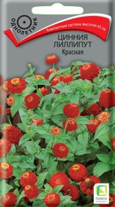 Цинния Лиллипут Красная купить