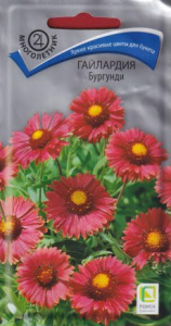 Гайлардия Бургунди купить