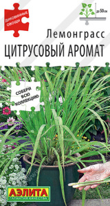 Лемонграсс Цитрусовый аромат  купить