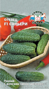 Огурец Сальери F1  купить