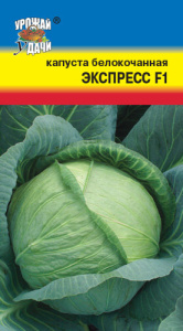 Капуста Экспресс F1 купить
