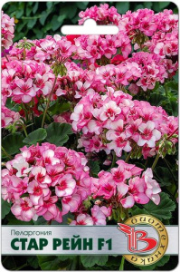 Пеларгония зональная Стар Рейн F1 купить