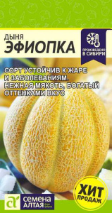 Дыня Эфиопка  купить