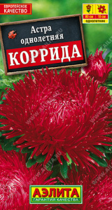 Астра Коррида коготковая купить