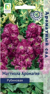 Маттиола Аромагия Рубиновая  купить
