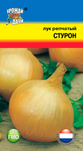 Лук (репчатый) Стурон  купить