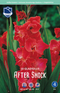 Гладиолус гофрированный After Shock /10шт купить