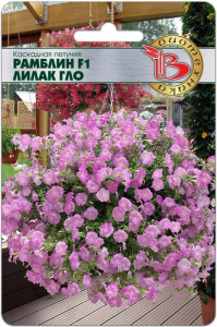 Петуния Рамблин F1 Лилак Гло каскадная купить