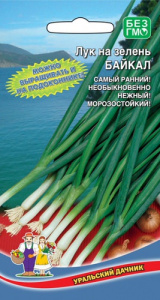 Лук Байкал на зелень купить