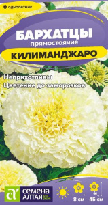 Бархатцы Килиманджаро прямостоячие купить