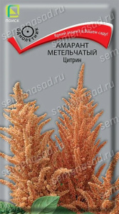 Амарант метельчатый Цитрин купить