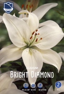 Лилия азиатская Bright Diamond /3шт купить