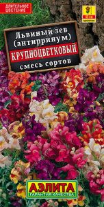 Львиный зев Крупноцветковый, смесь купить