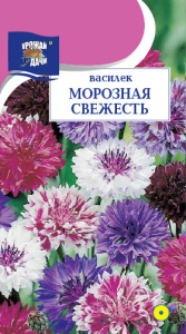 Василек Морозная свежесть махровый  купить