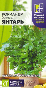 Кориандр Янтарь УРОЖАЙ НА ОКНЕ!  купить