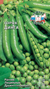 Горох Динга  купить