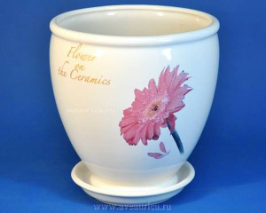 Бутон Гербера бел.3л купить