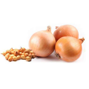 Лук севок Радар Голландия 1кг купить