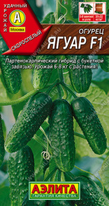 Огурец Ягуар F1 купить