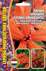 Лихнис Аркрайта купить