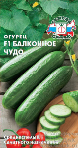 Огурец Балконное Чудо F1 купить
