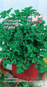 Петрушка Плайн листовая купить