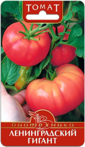 Томат Ленинградский Гигант (крупноплодный )  купить