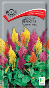 Целозия перистая Лиллипут микс купить
