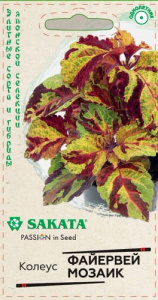 Колеус Файервей Мозаик Саката купить