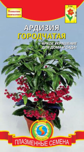 Ардизия городчатая  купить