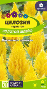 Целозия перистая Золотой шлейф