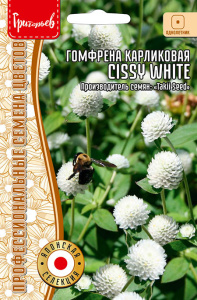 Гомфрена Cissy White карликовая купить