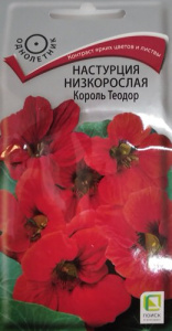 Настурция низкорослая Король Теодор купить