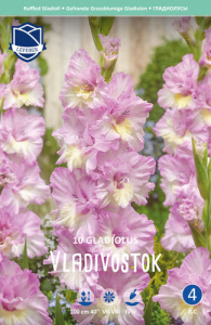 Гладиолус гофрированный Vladivostok /10шт купить