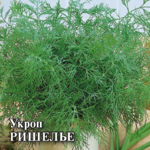 Укроп Ришелье 25,0г купить