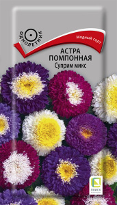 Астра Суприм микс помпонная купить