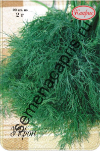 Укроп Кустистый/1шт купить