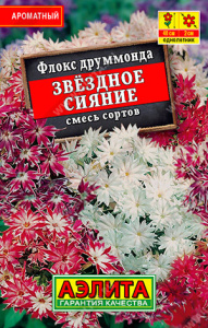 Флокс Звездное сияние, смесь сортов купить