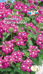 Вербена Санта-Анна купить